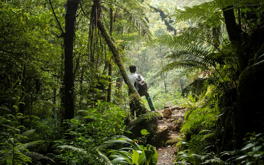 exotic adventure route in jungle