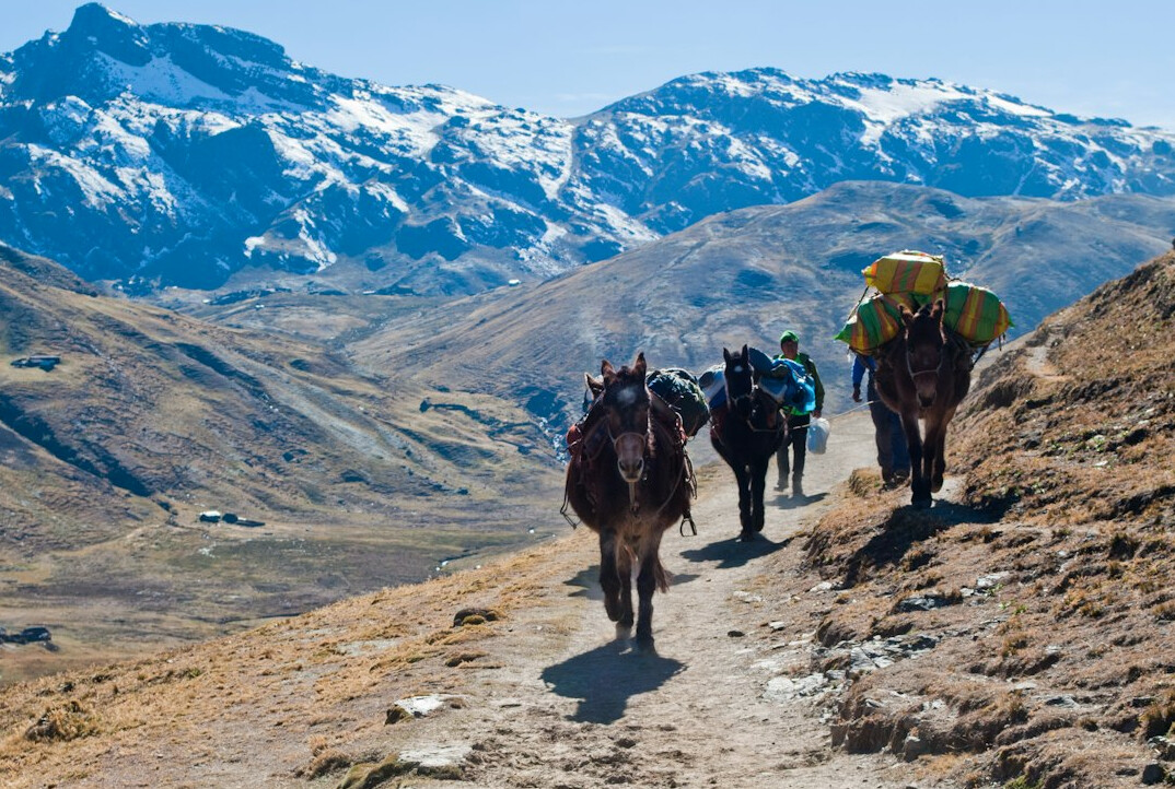 mountain trek in andes