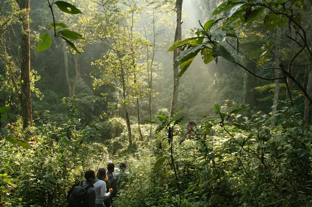 jungle trek adventure
