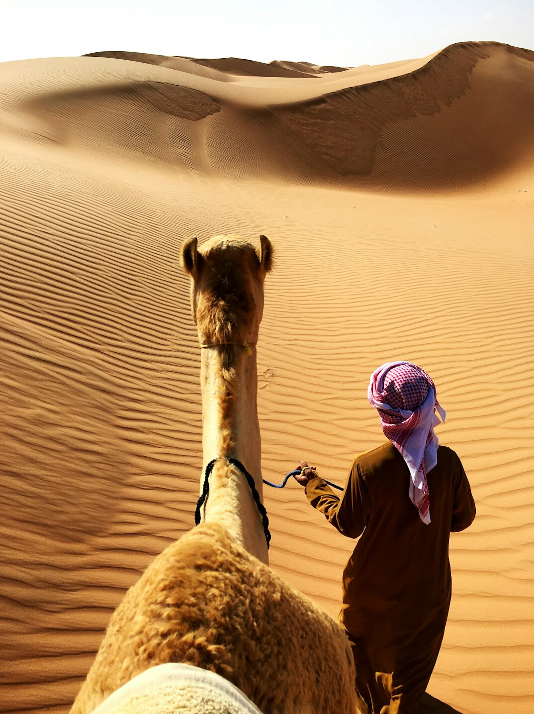 desert camel trek