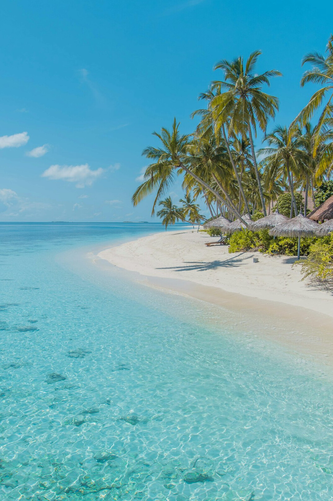 Tropical beach with turquoise water and white sand